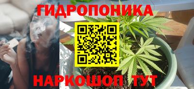 ALPHA PVP Ярославль