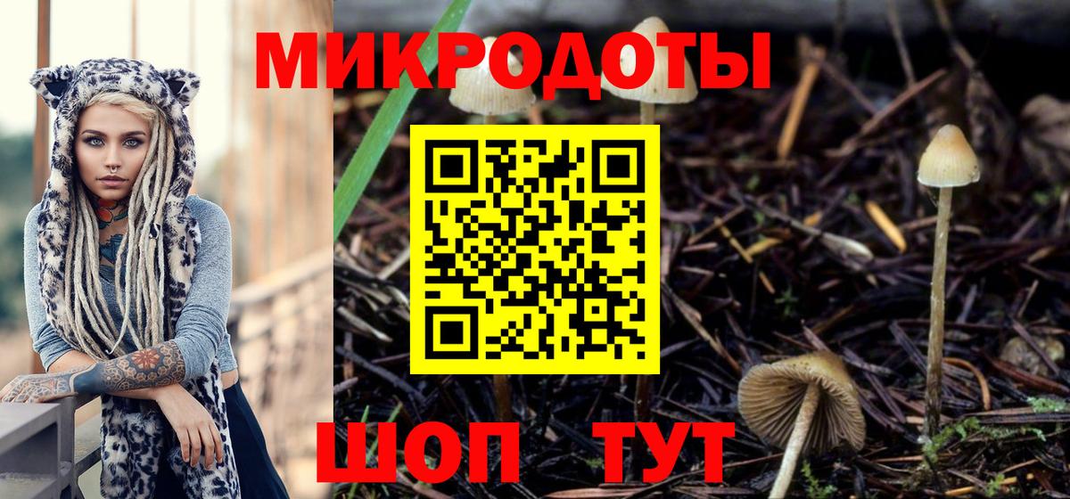 Артёмовский  Псилоцибиновые грибы ЛСД  Вход с VPN  Галлюциногенные грибы мухоморы 